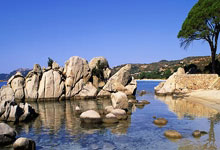 华体会皇马赞助商-恩佐·费尔南德斯，教科书级演出终结悬念，波兰提前出局映衬瑞士坚韧