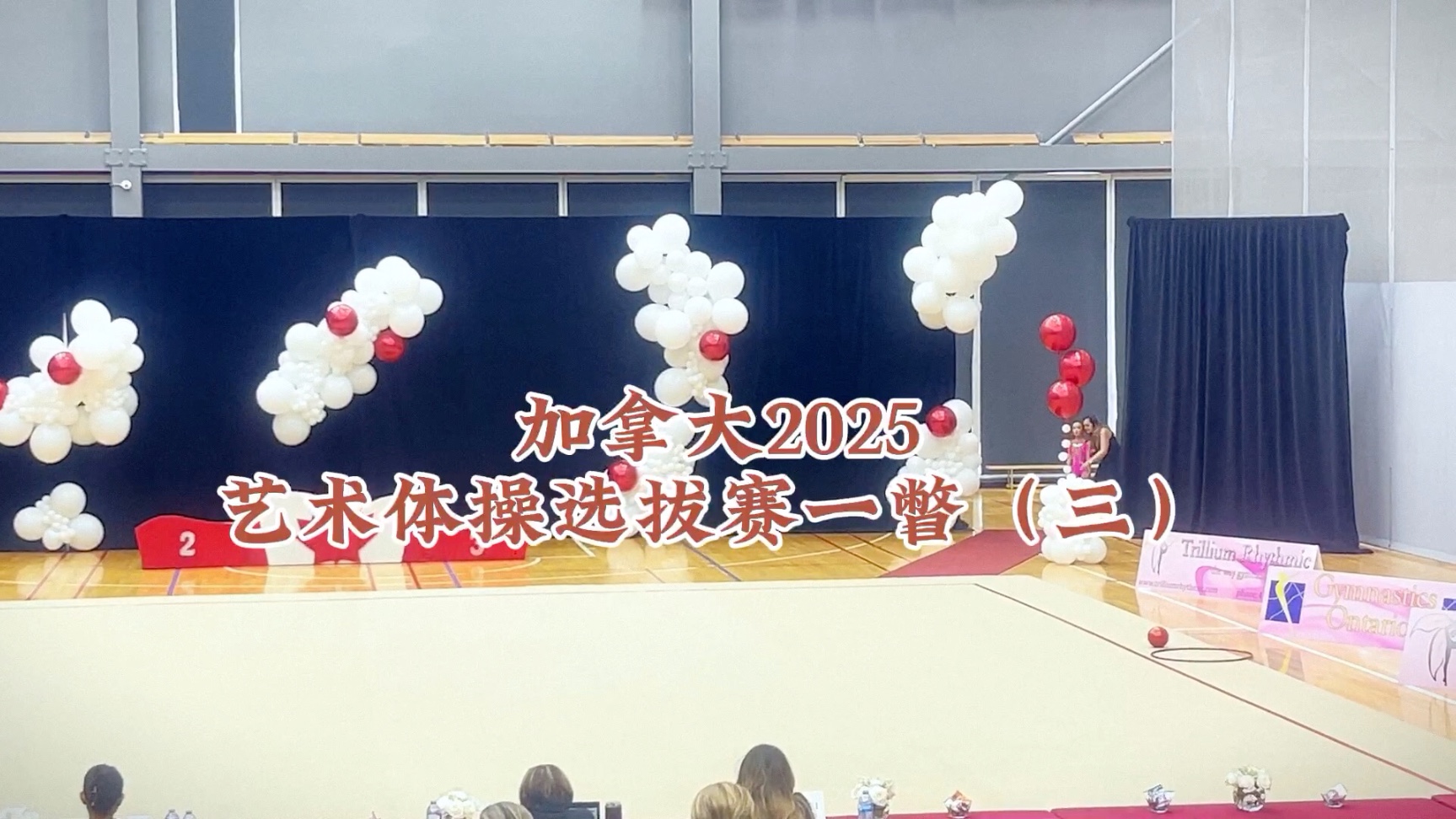 体操比赛加拿大队实现突破夺金的简单介绍