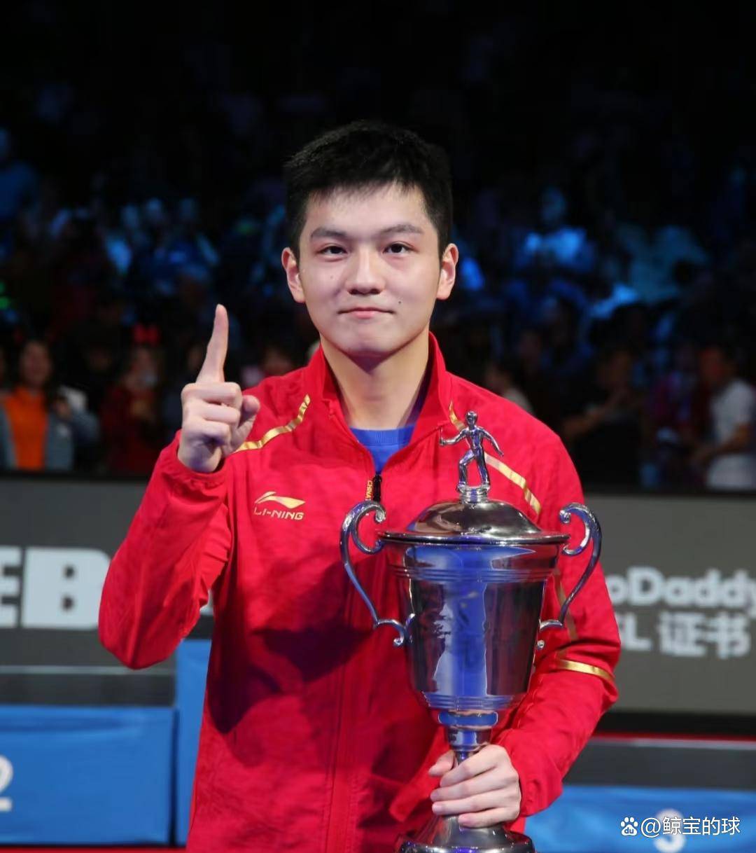 奥地利队轻取瑞典队，樊振东刷新纪录